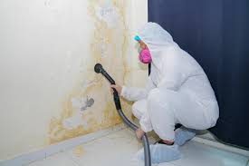 Best Environmental Consulting for Mold Prevention  in Dublin, TX